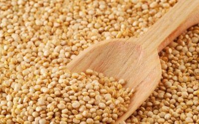 Valor nutritivo de la Kiwicha